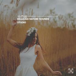 Natural Calmness, Pt. 25