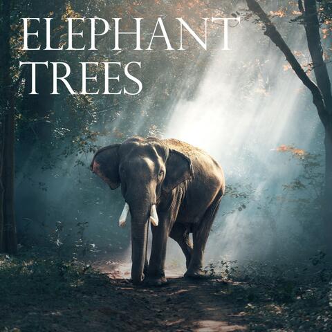 Elephant Trees