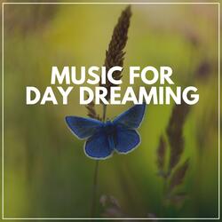 It's a Calm Life Now