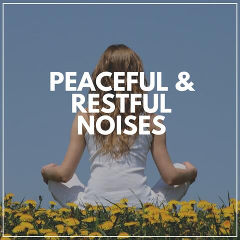 Peaceful & Restful Noises