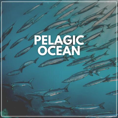 Pelagic Ocean