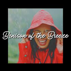 Decency Rain