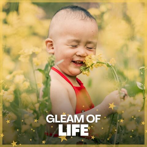 Gleam of Life