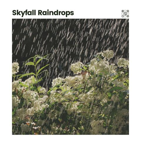 Skyfall Raindrops