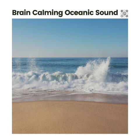Brain Calming Oceanic Sound