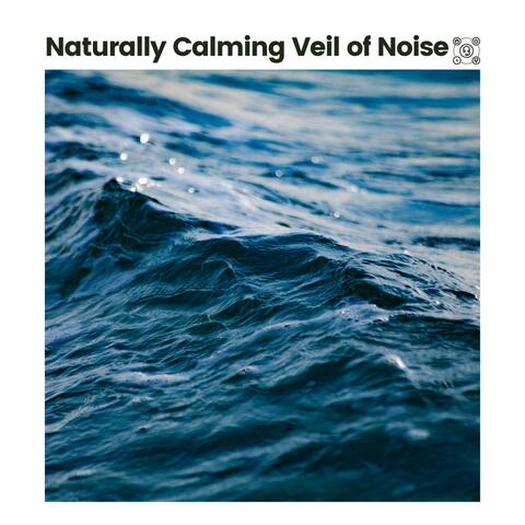 Naturally Calming Veil of Noise