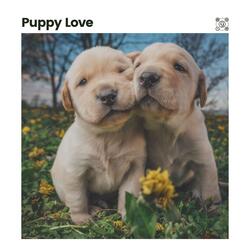 Music for a Calm Hound, Pt. 5