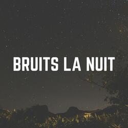 Relaxation profonde avec bruit blanc, Pt. 22