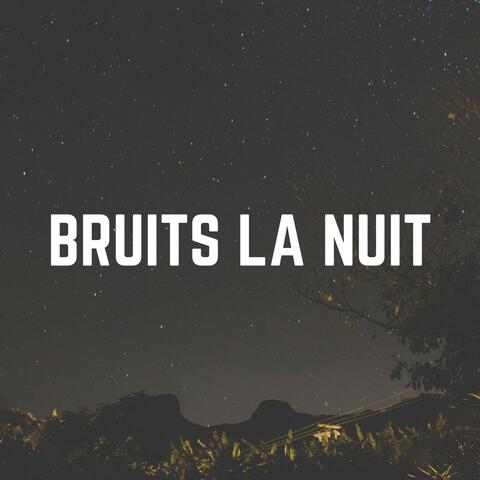 Bruits LA Nuit