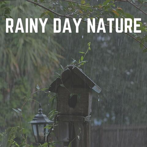 Rainy Day Nature