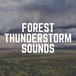 Piano & Thunder Sounds of Relaxation, Pt. 1