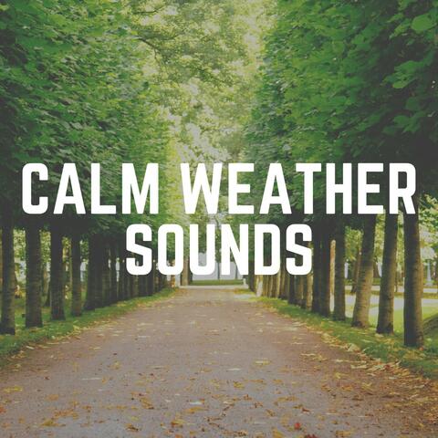 Calm Weather Sounds