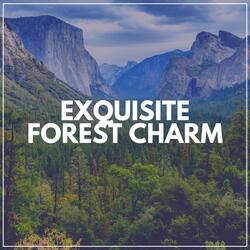 Calm Nature Moments, Pt. 38
