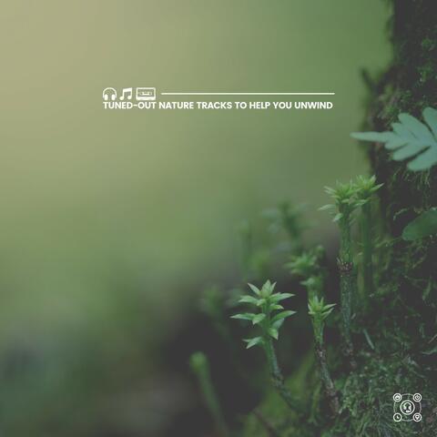 Tuned-Out Nature Tracks to Help You Unwind