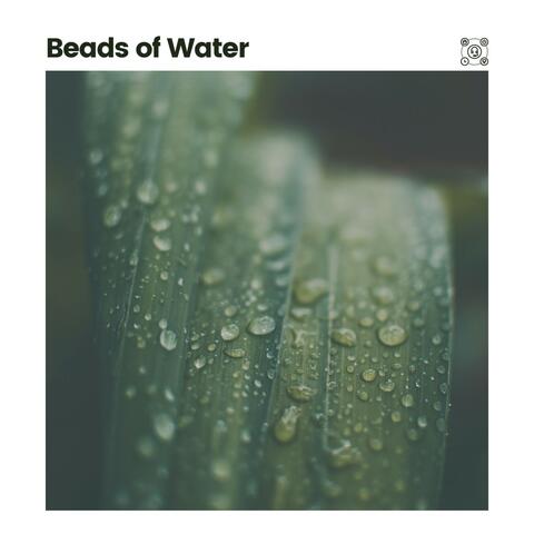 Beads of Water