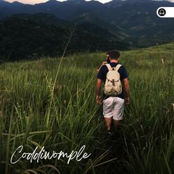 Go out for a Walking Tour