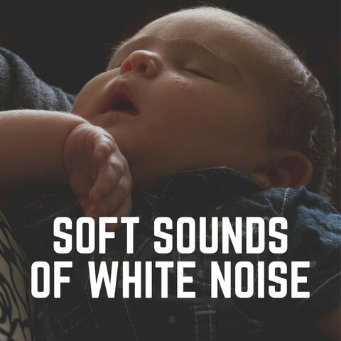 Soft Sounds of White Noise