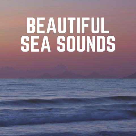 Beautiful Sea Sounds