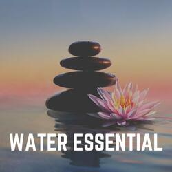 Whimsical Waterfalls Sounds to Relax With, Pt. 1