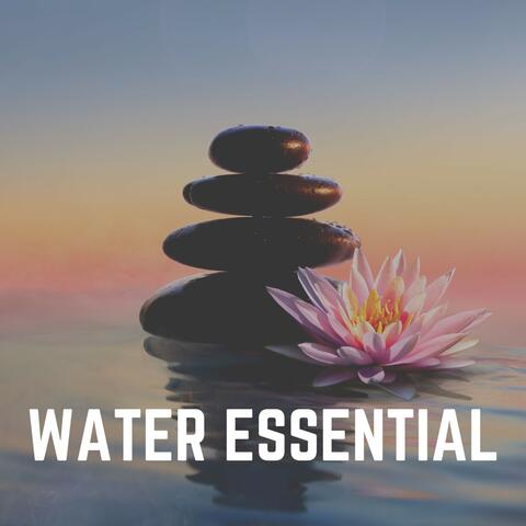 Water Essential