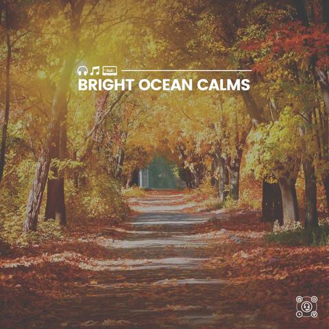 Bright Ocean Calms