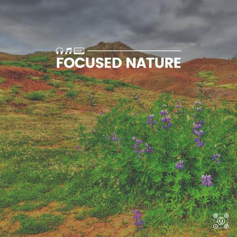 Focused Nature