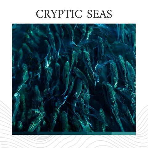 Cryptic Seas