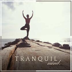 Pilates Soundtrack, Pt. 7