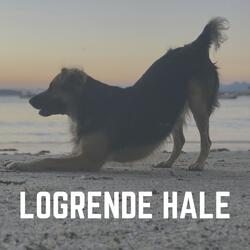 Beroligende musik til din hund, Pt. 25