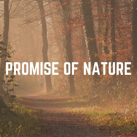 Promise of Nature