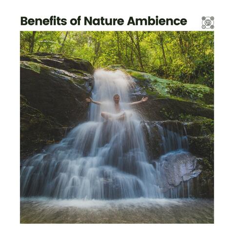 Benefits of Nature Ambience