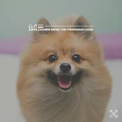 Calming Doggy Times, Pt. 15