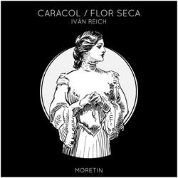 Flor Seca