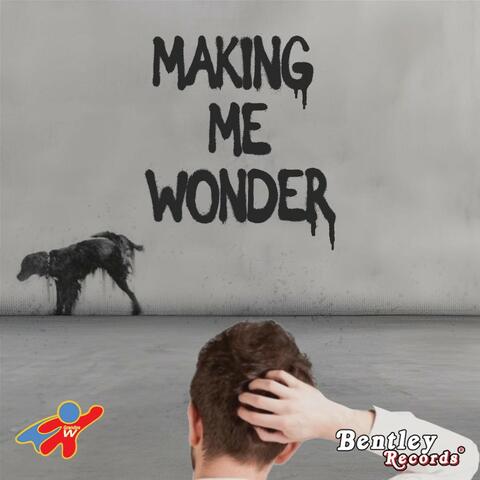 Making Me Wonder