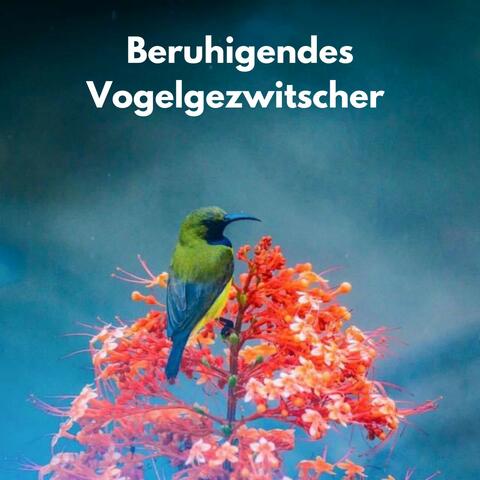 Beruhigendes Vogelgezwitscher