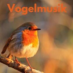 Vogelgezwitscher am Morgen