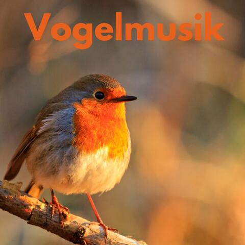 Vogelmusik