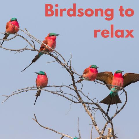 Birdsong to relax