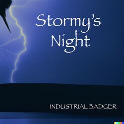 Stormy's Night