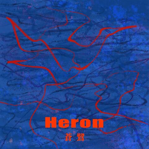 Heron 蒼鷺