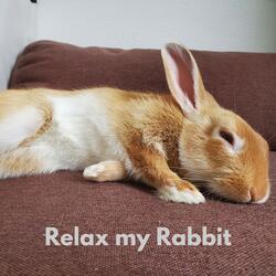 Relaxing Sounds for Rabbits