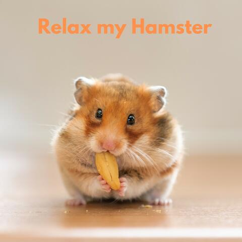Relax My Hamster Vol. 2