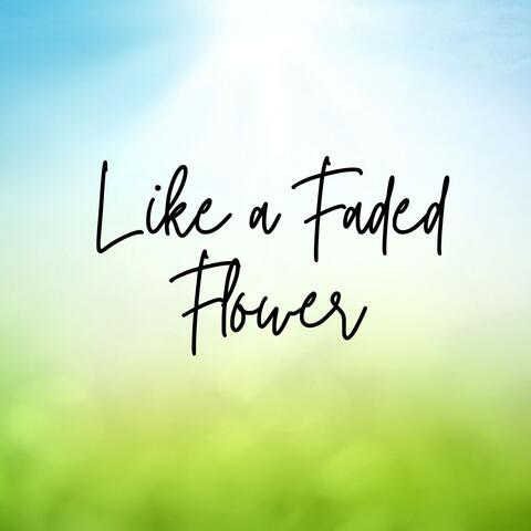 Like a Faded Flower