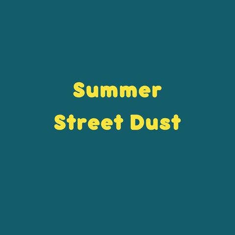 Summer Street Dust