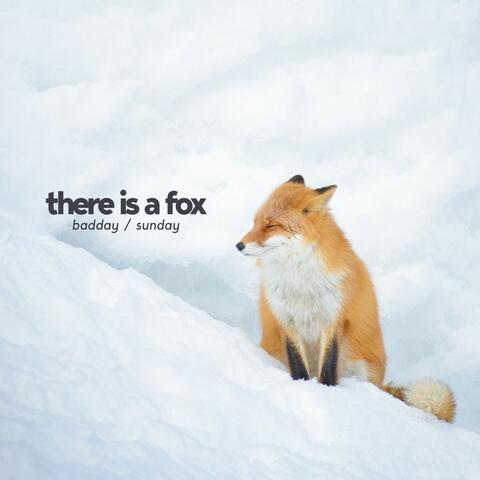 There Is A Fox