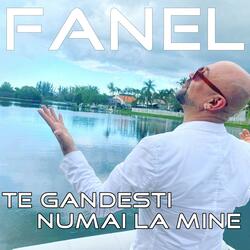 Te Gandesti Numai la Mine