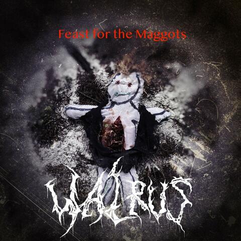 Feast for the Maggots