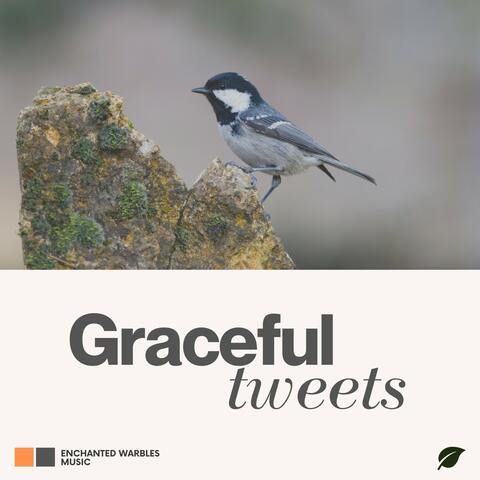 Graceful Tweets