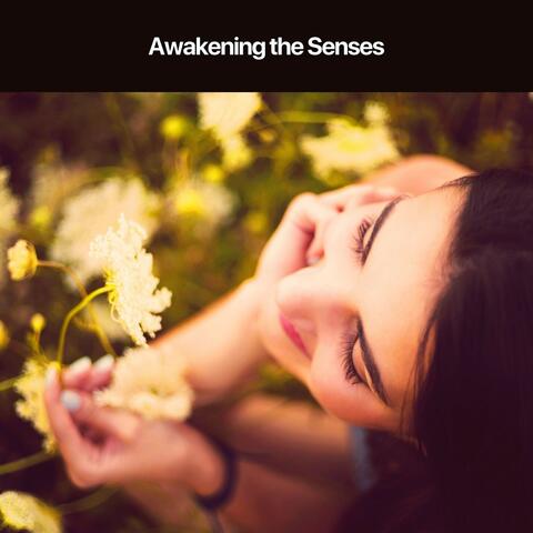 Awakening the Senses