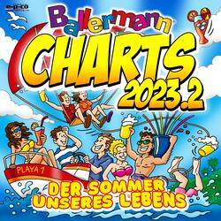 Party Palmen und Suff Suff
